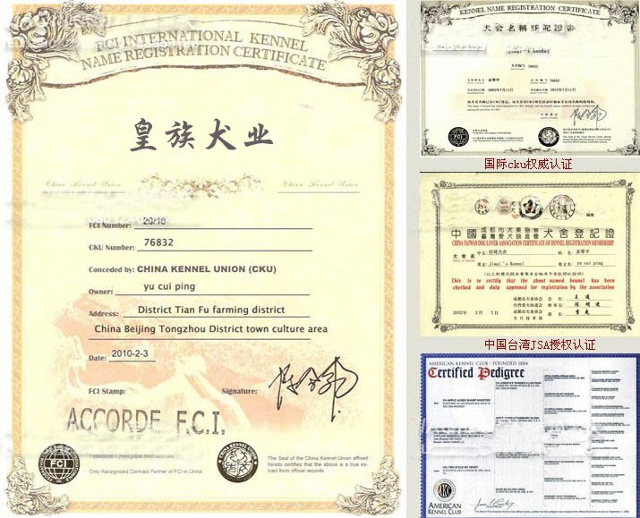 养殖场每只出售幼犬均有植入芯片,办理国际