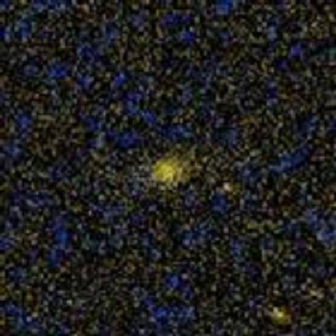 IC 844_百度百科