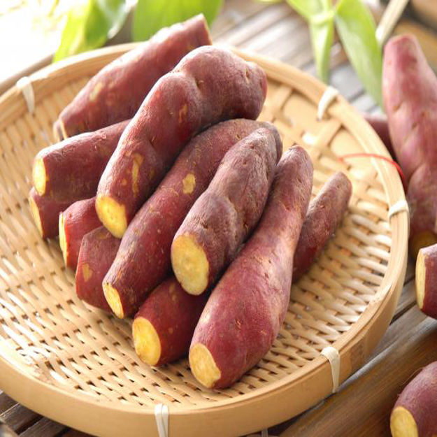  p>泗水地瓜,山东省济宁市 a target="_blank" href="/item/泗水县