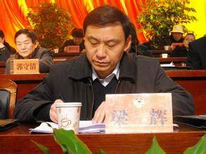 梁辉（全国体总副主席）_百度百科