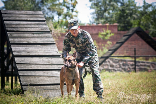 也叫小七, a target="_blank" href="/item/幽灵犬/15421549" data