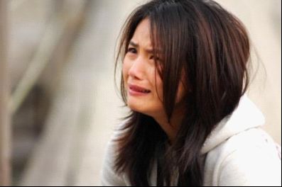 《野丫头》是由张秉坚执导,李冰冰,白云,谢园等主演的文艺电视剧,于
