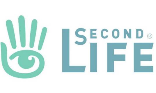 Second Life（网络虚拟游戏）_百度百科