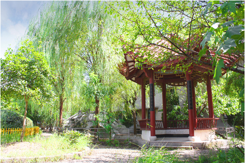 绍兴县王坛镇中学