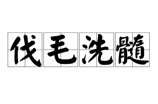 伐毛洗髓