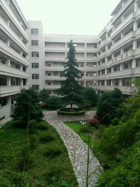  p> a target="_blank" href="/item/江苏省泰兴市第四高级中学