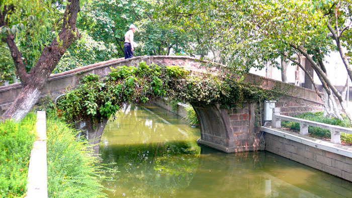  p>寿星桥位于 a target="_blank" href="/item/苏州">苏州 /a>市古城