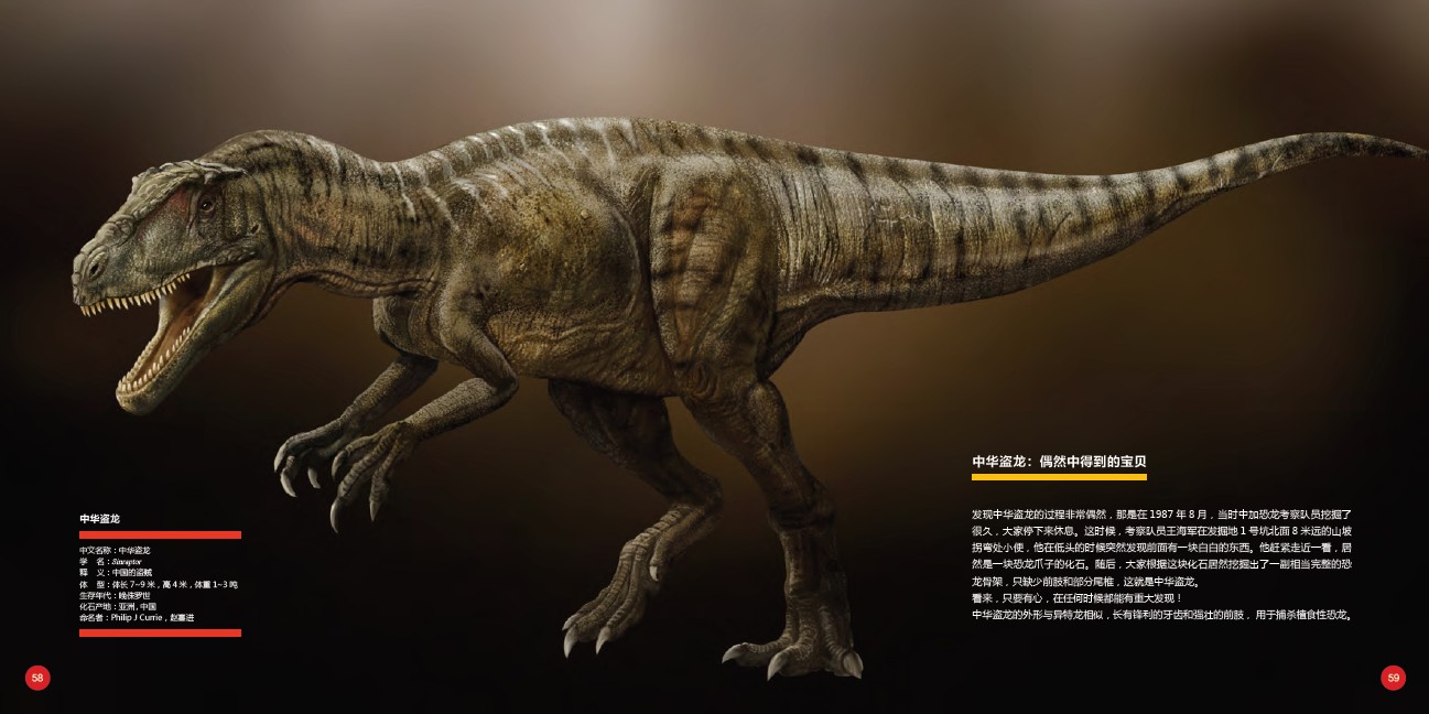 中华盗龙(sinraptor)