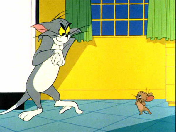 猫和老鼠