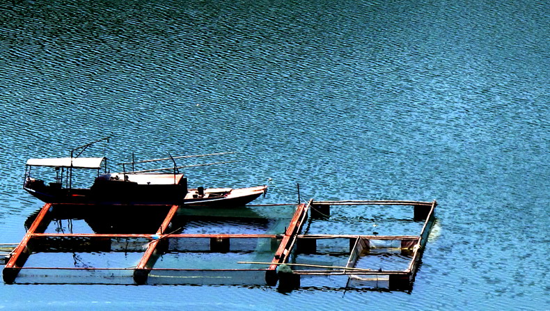 丹江口千岛画廊