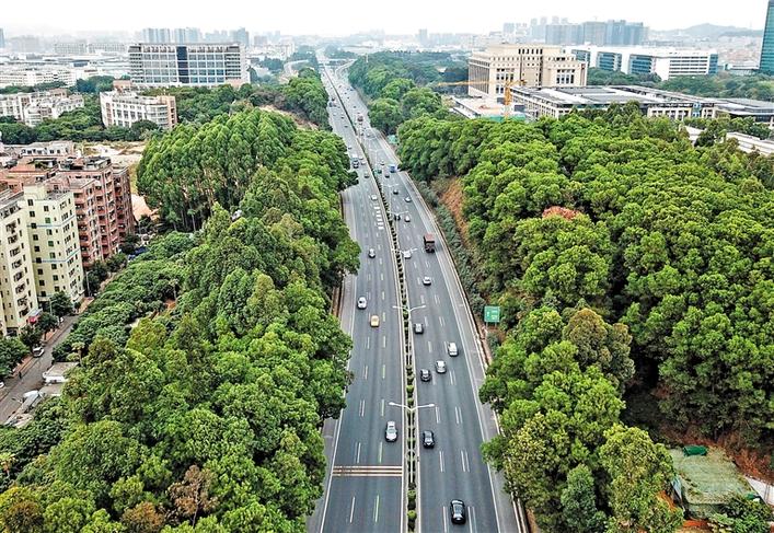 梅观高速公路