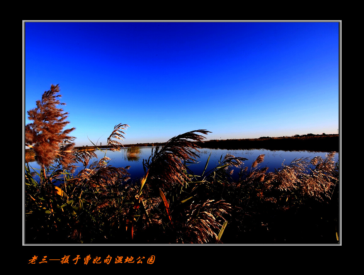 曹妃甸湿地公园