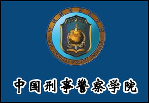  p>刑事警察(简称刑警),做刑事侦查工作,分析,研究刑事犯罪情况;组织
