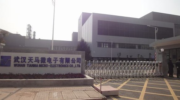 武汉天马微电子有限公司
