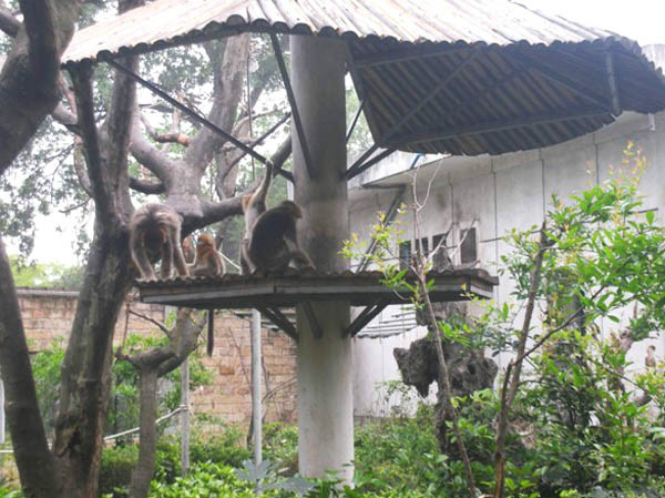 target="_blank" href="/item/成都市">成都市 /a>动物园位于四川省