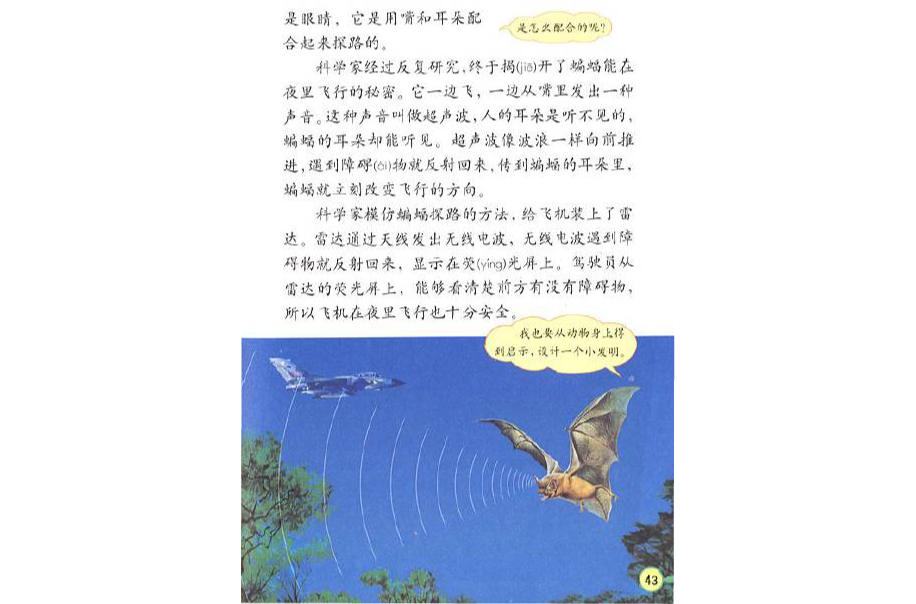 雷达和蝙蝠