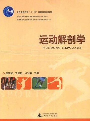运动解剖学