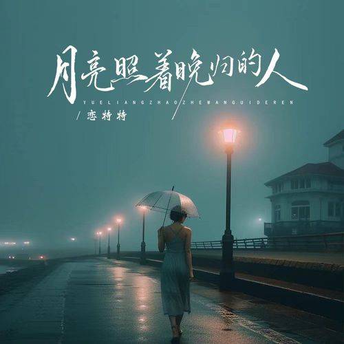 月亮照着晚归的人_百度百科