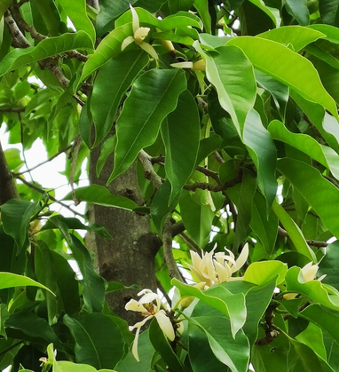 清远市（中国广东省下辖地级市）_百度百科