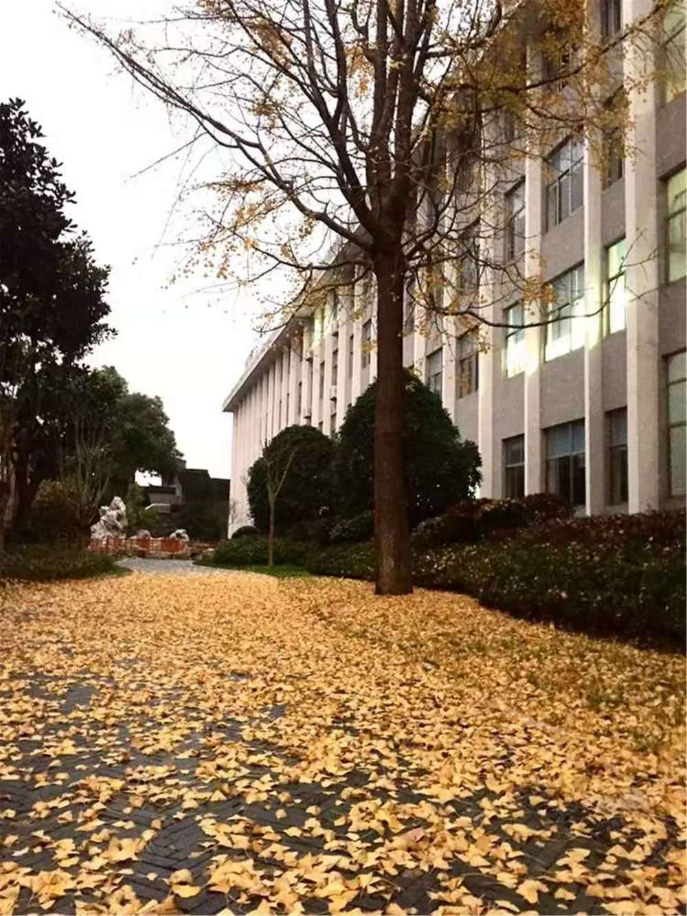  p>如皋初级中学位于 a target="_blank" href="/item/江苏/154268"