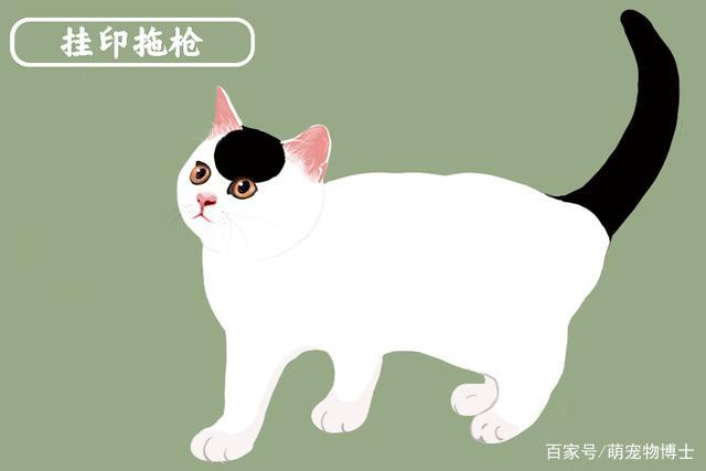 中华名猫大全——挂印拖枪/负印拖枪——古代名猫花名册_百科TA说