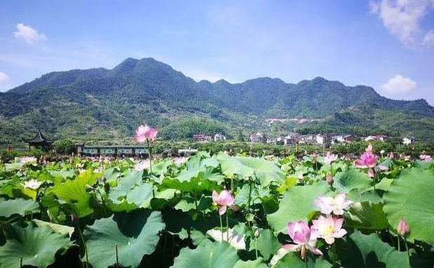  p data-id="gnax7mupps">三都镇,隶属于江西省宜春市 a target="