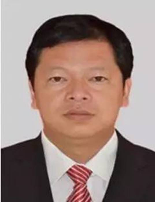 段凌涛_百度百科