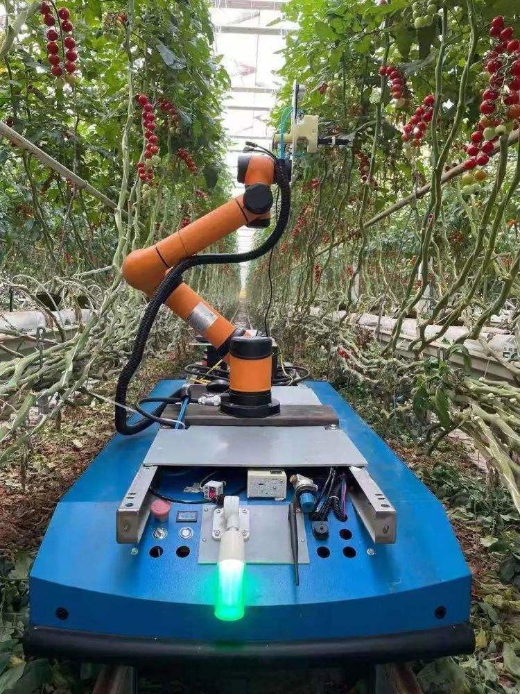 采摘水果机器人