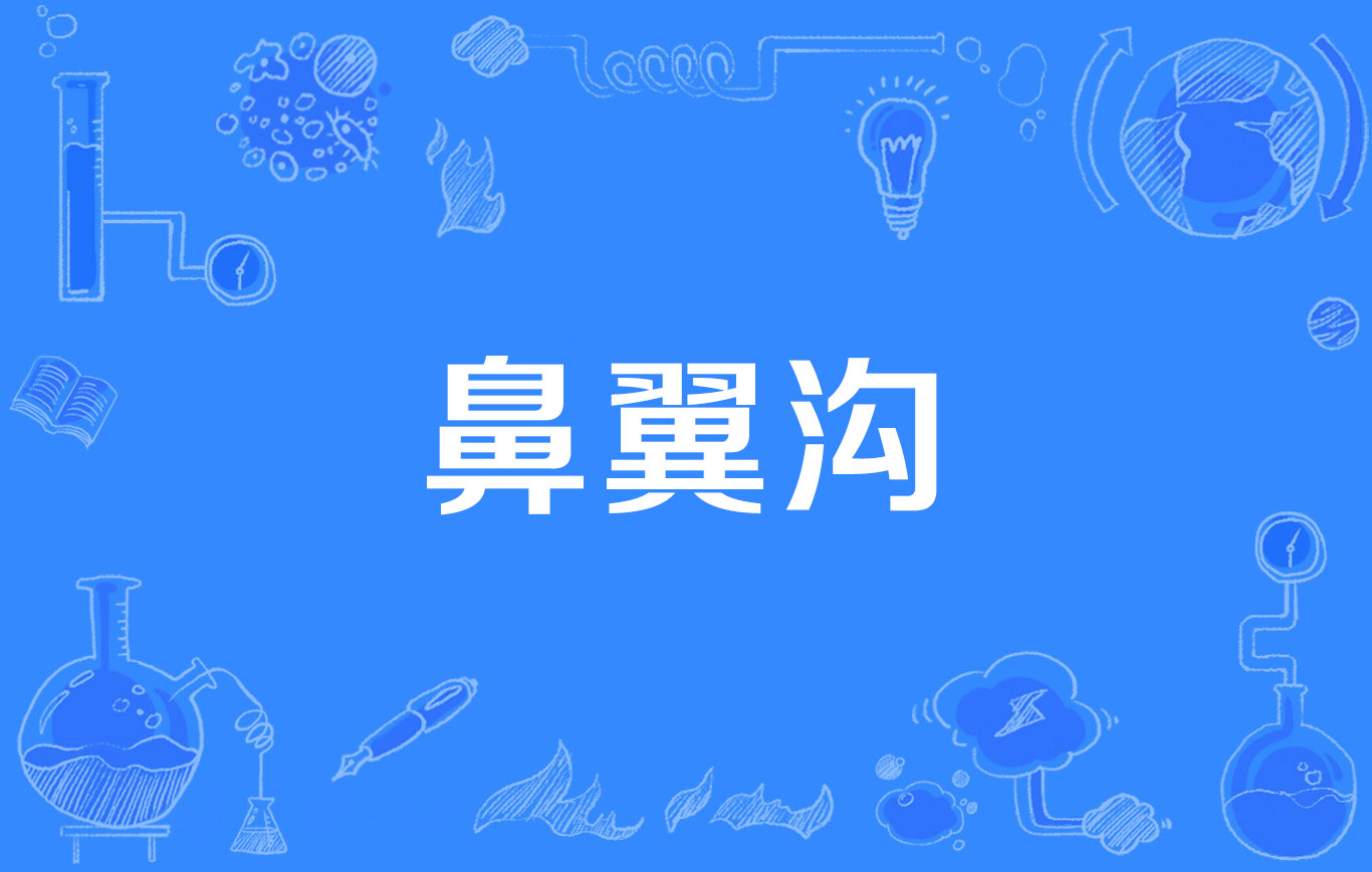 鼻翼沟
