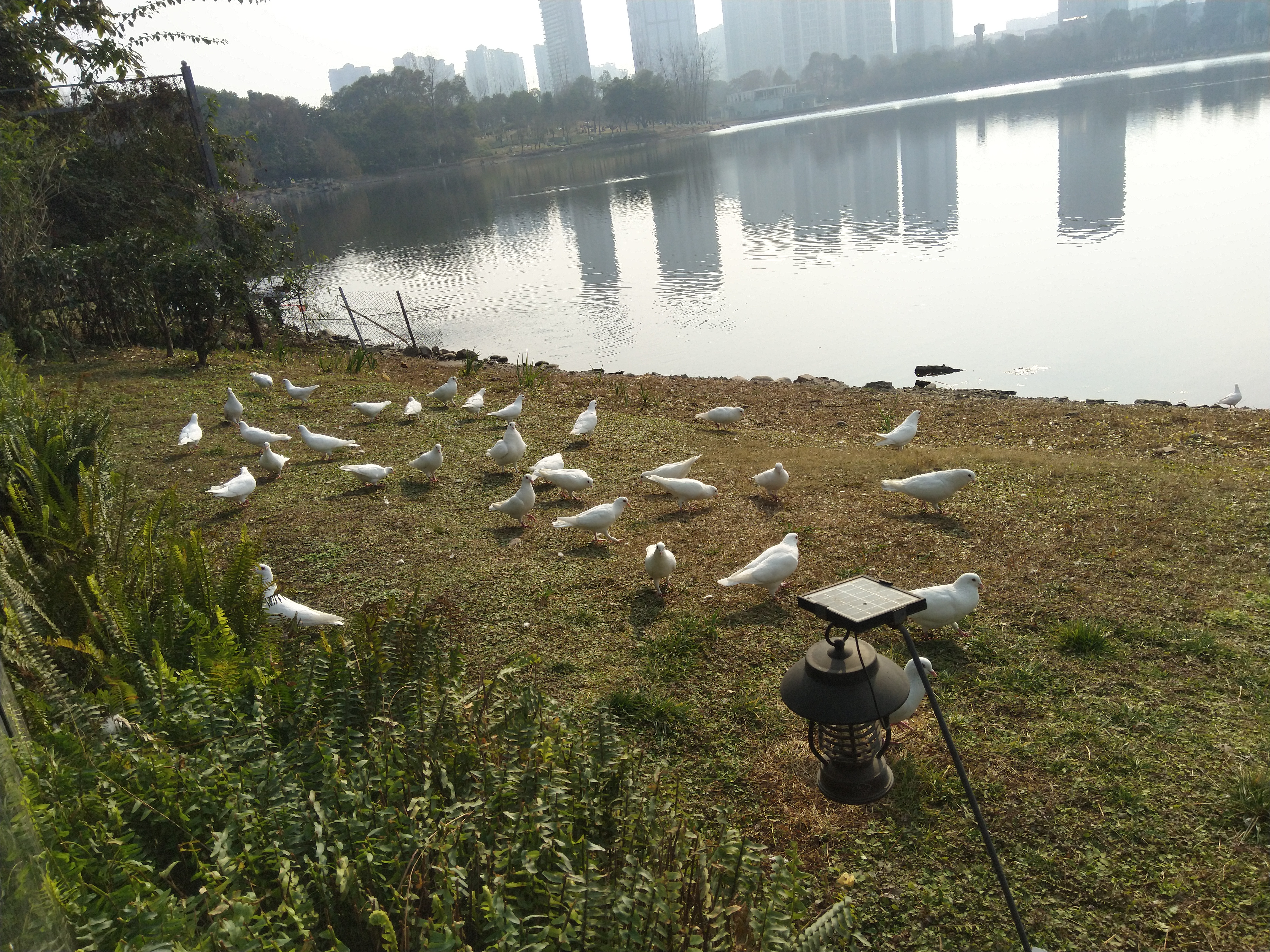 福州东湖公园位于长乐区文武砂镇,即原来的文武砂水库目前公园东岸南