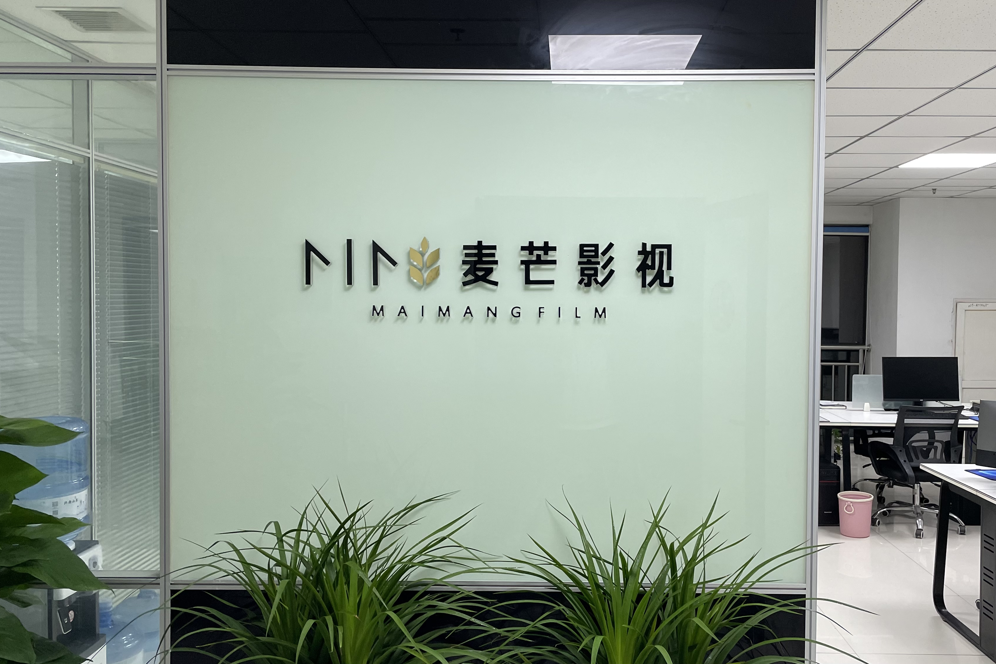 西安麦芒影视文化传媒有限公司