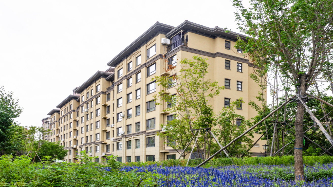 金色橄榄城中邑华章