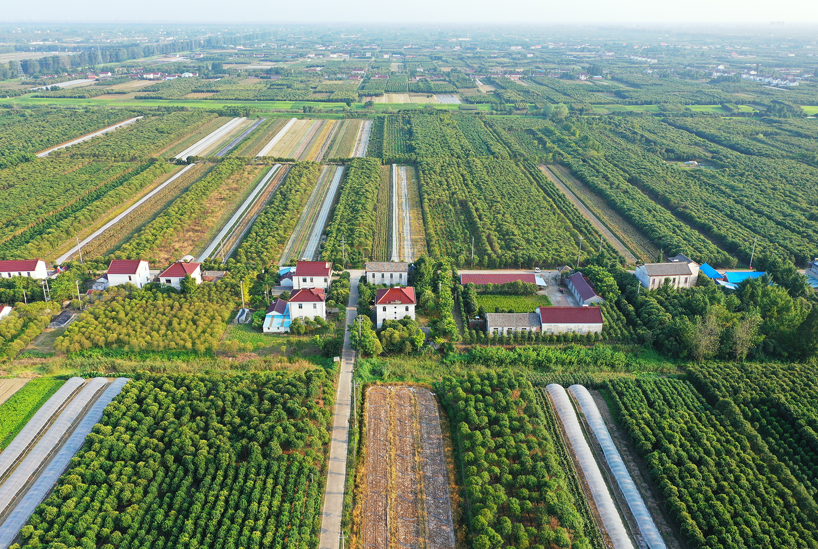  p data-id="gnvjl9kl6u">三仓镇,隶属于江苏省盐城市东台市,地处 a