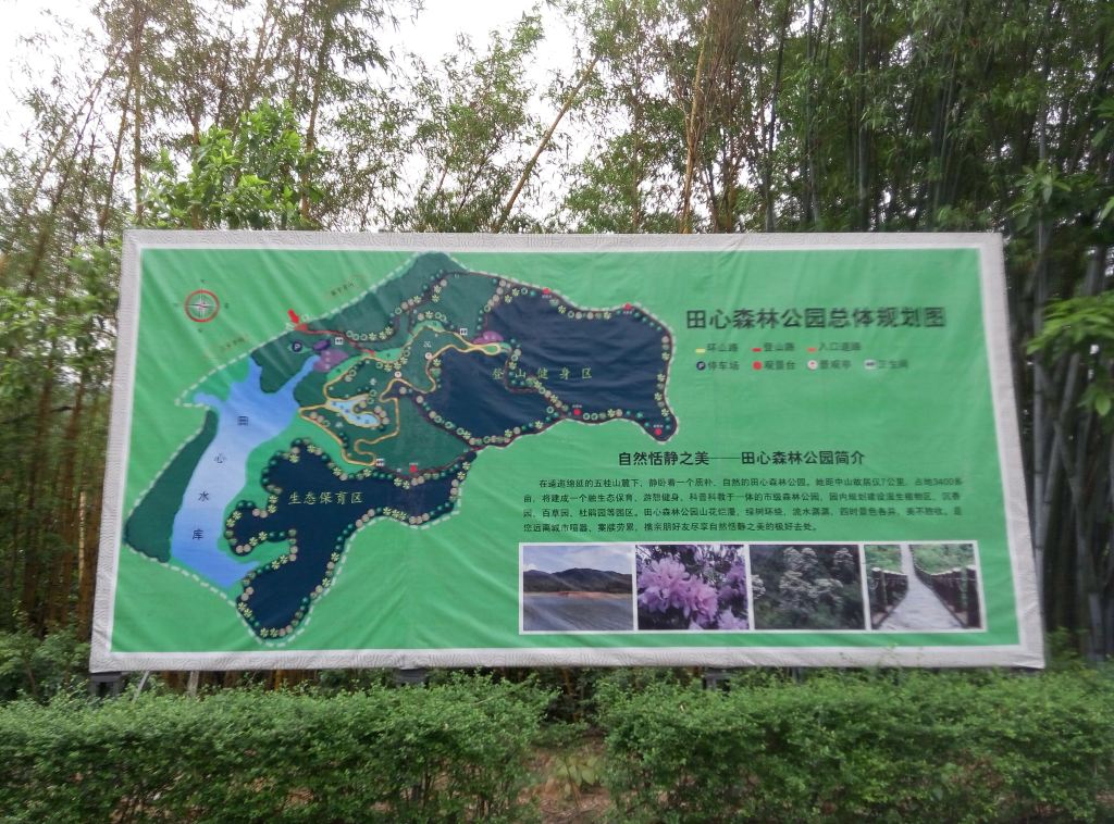 中山田心公园