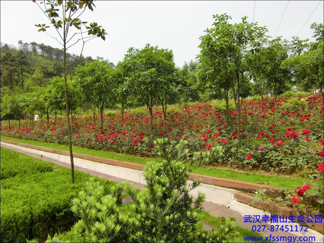 武汉幸福山生命公园