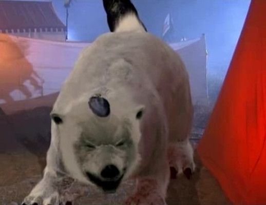 紫金花狐貂 百度百科