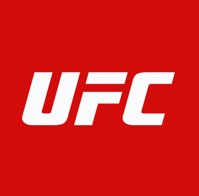 "gntyyrl3fy">终极格斗冠军赛(ultimate fighting championship; ufc)