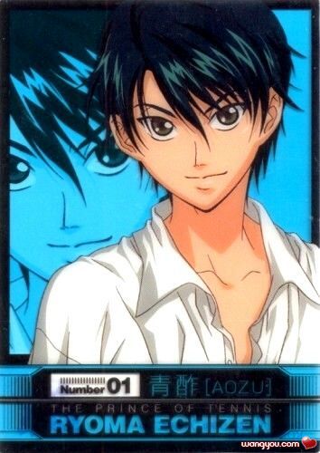  p>越前龙马,日本漫画《 a target="_blank" href="/item/网球王子