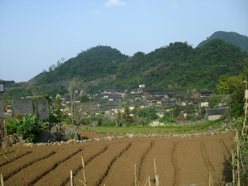 大箐村
