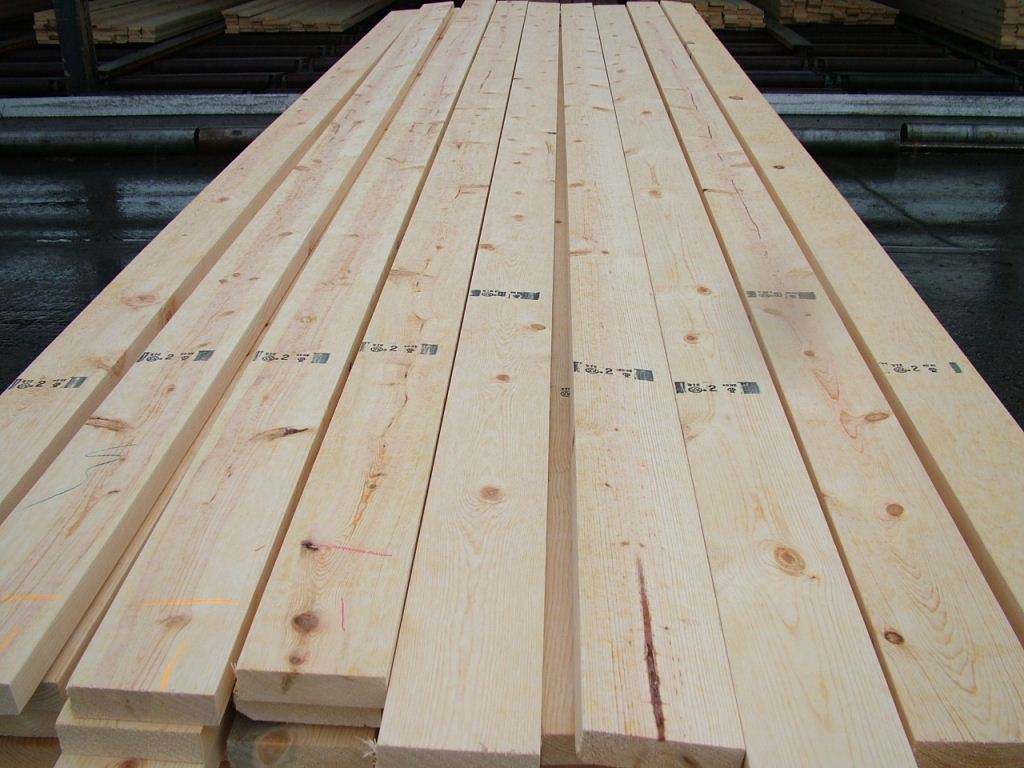  p>欧洲赤松 (学名: i>pinus sylvestris /i> linn.