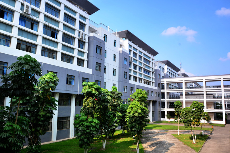 广西大学行健文理学院