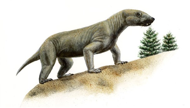 ">中生代 /a>早期的 a target="_blank" href="/item/哺乳动物/62197"