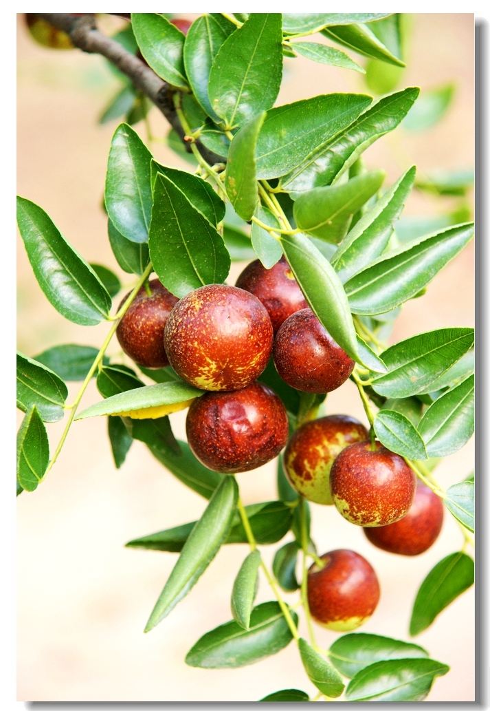 河南省<a href="#" data