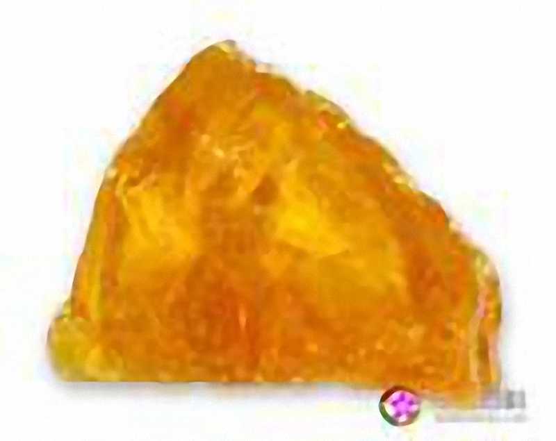  p>人心果树乳液凝聚成的粉红至红棕色片状树胶.