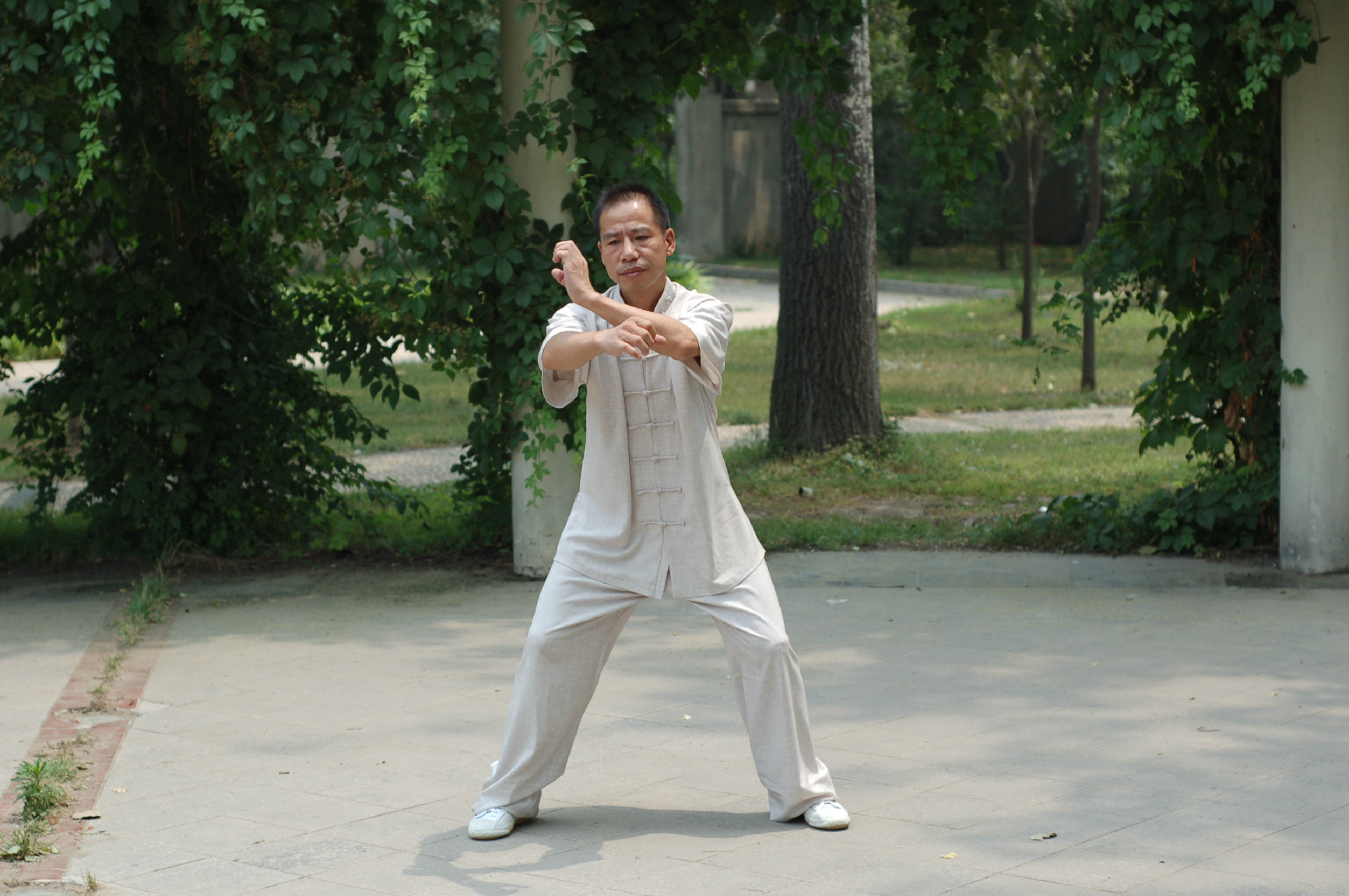  p data-id="gnyx9jl7i9">五祖拳全称五祖鹤阳拳,是一种 a target="