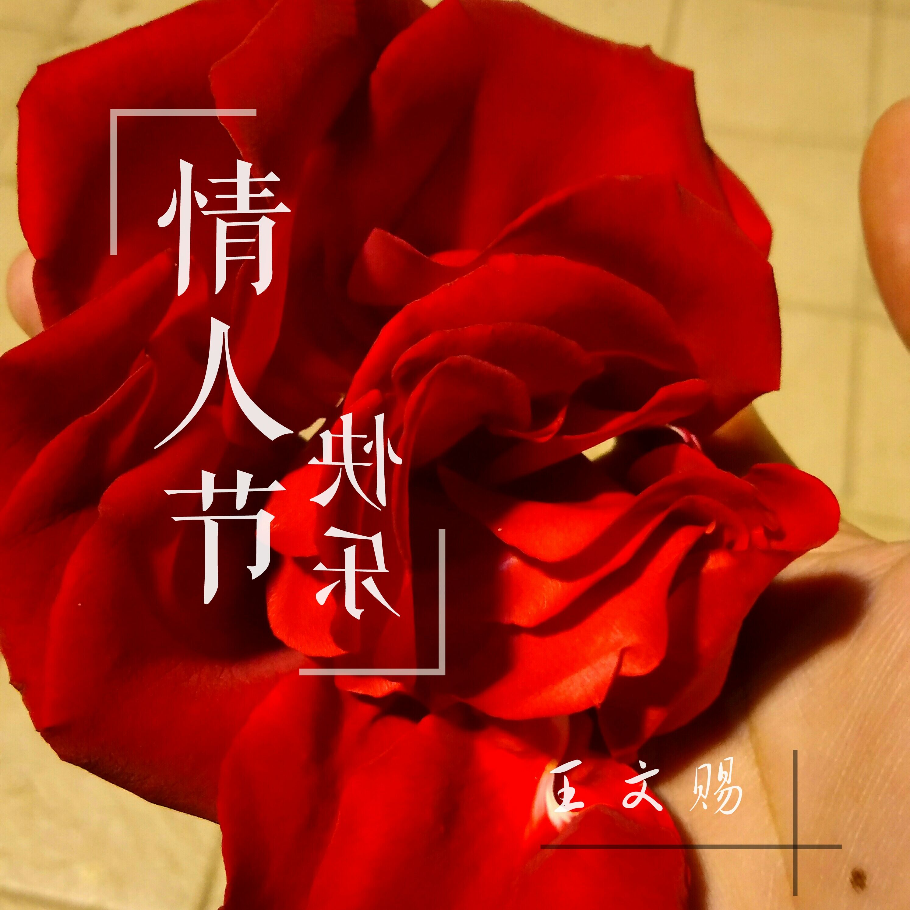 情人节快乐