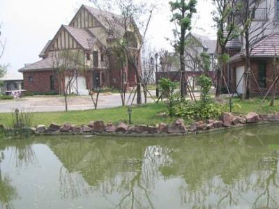  p>温莎半岛别墅,位于松江新 a target="_blank" href="/item/泰晤士
