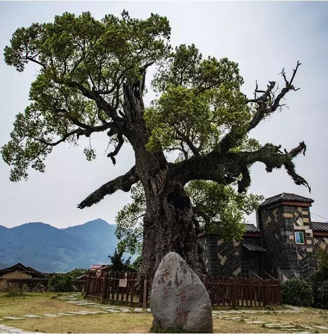 马洋溪生态旅游区