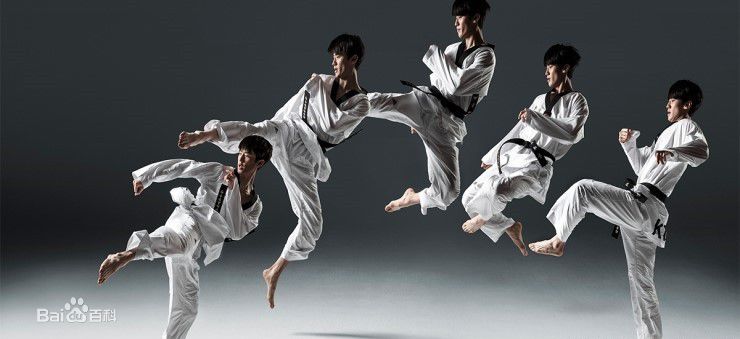 李大勋 i>(daehoon lee) /i>,1992年2月5日出生于韩国首尔,韩国跆拳道