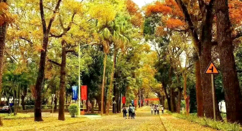  p>海南大学( i>hainan university /i>),简称海大,坐落于海南省 a
